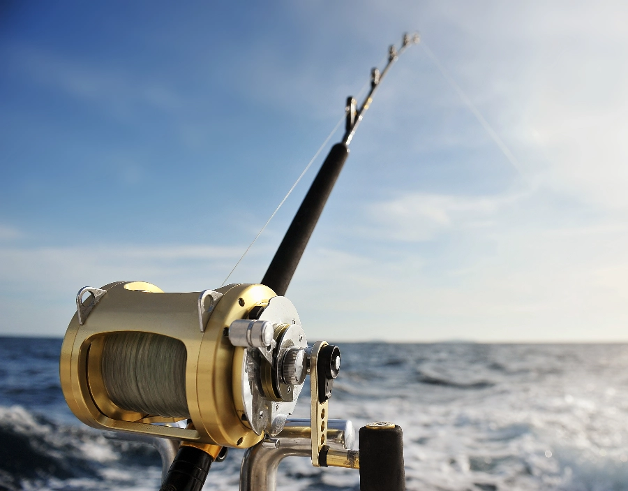 Image for A1 Fishing Tackle Sea Fishing Service for A1 Fishing Tackle , Company Website, No Coding Website, New Website, Free Website, Fishing rods, Simple Website,  Fishing hooks, Easy Website in the Dorking area